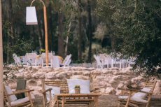 תמונה 2 של צל הדומים - אולמות וגני אירועים