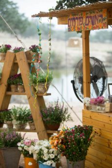 תמונה 3 של צל הדומים - אולמות וגני אירועים