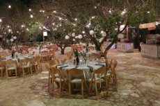 תמונה 6 של צל הדומים - אולמות וגני אירועים