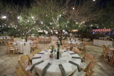 תמונה 7 של צל הדומים - אולמות וגני אירועים