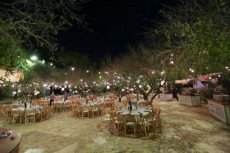 תמונה 5 של צל הדומים - אולמות וגני אירועים