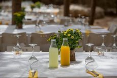 תמונה 4 של צל הדומים - אולמות וגני אירועים