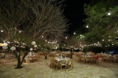 תמונה 10 של צל הדומים - אולמות וגני אירועים