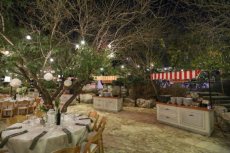 תמונה 8 של צל הדומים - אולמות וגני אירועים