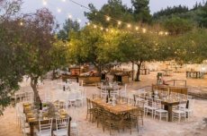 תמונה 1 מתוך חוות דעת על צל הדומים - אולמות וגני אירועים