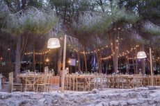 תמונה 7 מתוך חוות דעת על צל הדומים - אולמות וגני אירועים