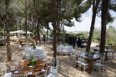 תמונה 8 מתוך חוות דעת על צל הדומים - אולמות וגני אירועים