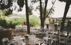 תמונה 9 מתוך חוות דעת על צל הדומים - אולמות וגני אירועים