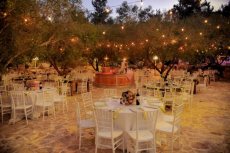 תמונה 10 מתוך חוות דעת על צל הדומים - אולמות וגני אירועים