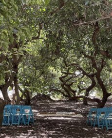 תמונה 3 מתוך חוות דעת על קייטרינג אסאדו באבוקדו - קייטרינג לאירועים