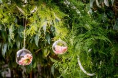 תמונה 5 של גן ורדים - אולמות וגני אירועים