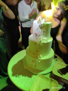 תמונה 2 מתוך חוות דעת על תמר על ההר - עוגות לרגעים יפים - עוגות חתונה