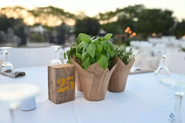 תמונה מספר 5