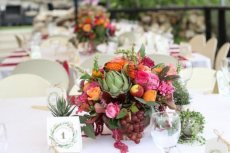 תמונה 4 מתוך חוות דעת על פיצ