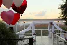 תמונה 9 מתוך חוות דעת על פיצ