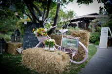 תמונה 5 של ביער - גן אירועים - אולמות וגני אירועים