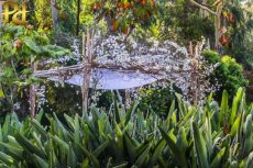 תמונה 6 של ביער - גן אירועים - אולמות וגני אירועים