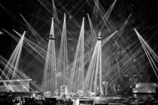 תמונה 8 של ביער - גן אירועים - אולמות וגני אירועים