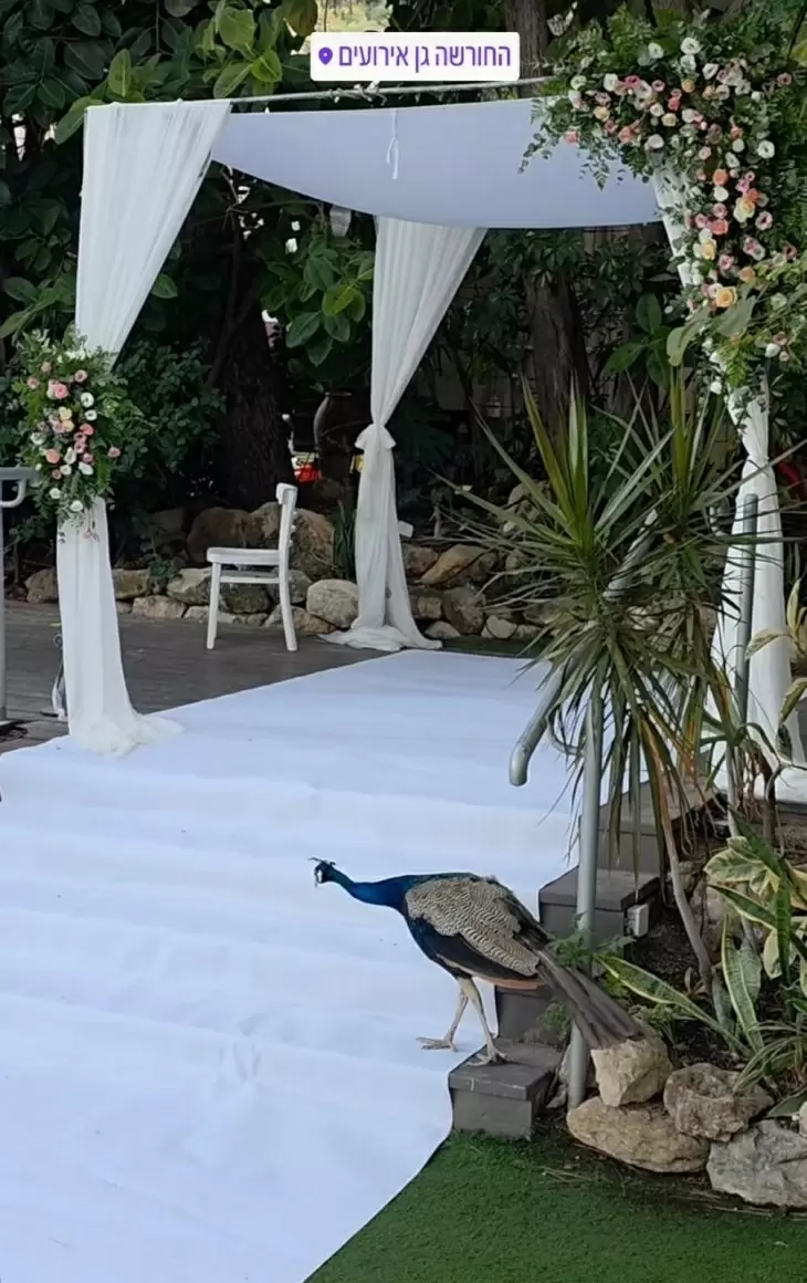 review gallery square