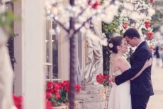 תמונה 4 של גלושא צלמים | גל יאסנקוב - צילום וידאו וסטילס