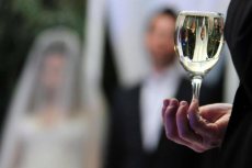 תמונה 3 של גלושא צלמים | גל יאסנקוב - צילום וידאו וסטילס