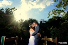 תמונה 9 של גלושא צלמים | גל יאסנקוב - צילום וידאו וסטילס