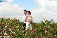 תמונה 10 של גלושא צלמים | גל יאסנקוב - צילום וידאו וסטילס