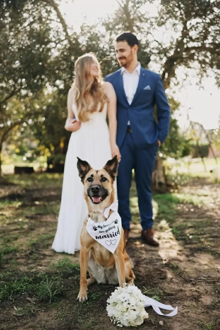 review gallery square