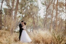 תמונה 11 מתוך חוות דעת על לב סלוצקי - צלמי סטילס