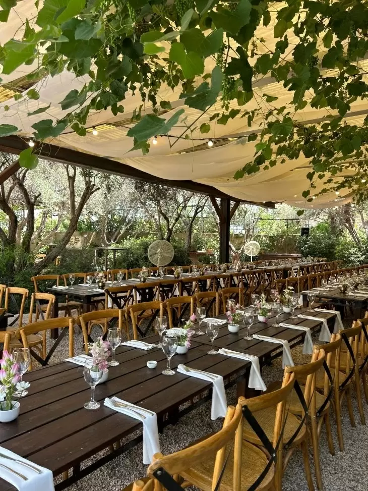 תמונה מספר 4