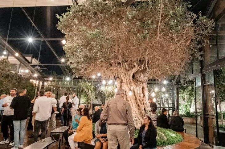 תמונה מספר 2