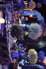 תמונה 6 מתוך חוות דעת על M-event ניהול אירועים - ארגון וניהול אירועים