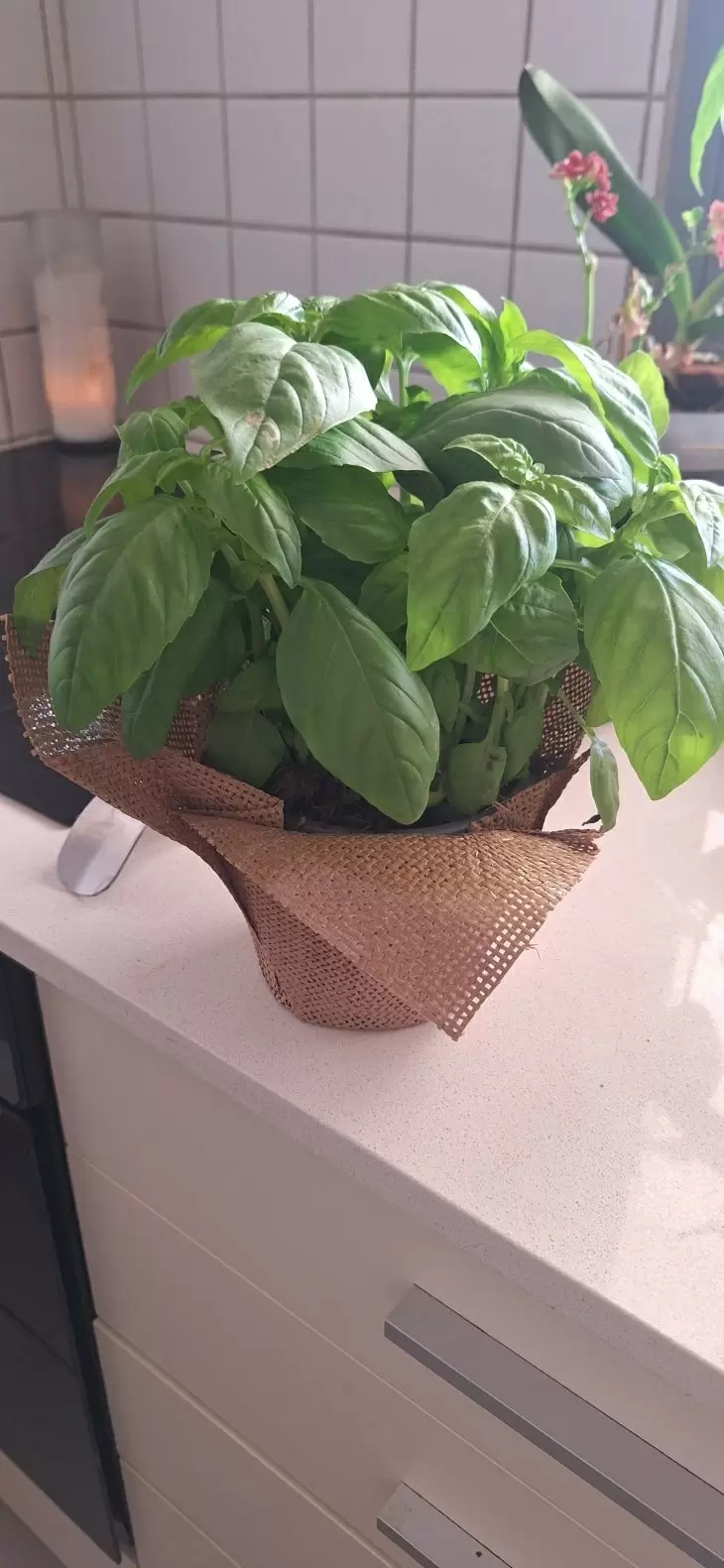 review gallery square