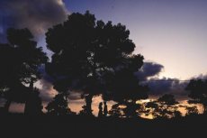 תמונה 9 מתוך חוות דעת על דורי אהרון - צילום - צילום וידאו וסטילס