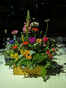 תמונה 6 של הילולה-עיצוב אירועים ושזירת פרחים - עיצוב אירועים
